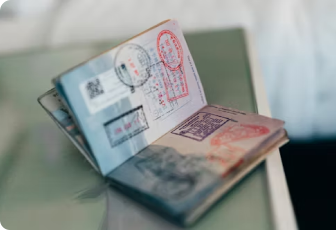 subclass 485 visa